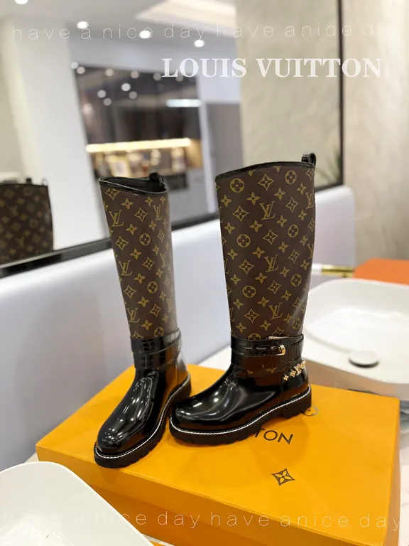 Louis Vuitton Shoe 